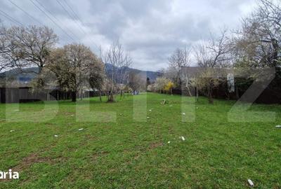 Teren de 4300 mp, în Baciu - 3