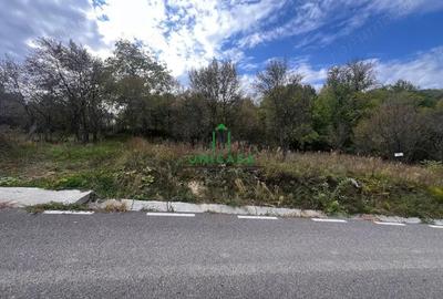 Teren de 828 mp, în Curăturile - 3