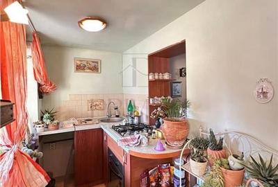 GIROCULUI - Casa individuală - Teren 870MP - Anexe - 11