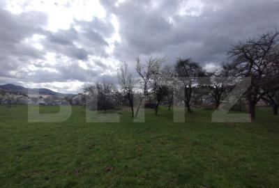 Casă cu 4 camere cu Teren 7500 Mp în Central