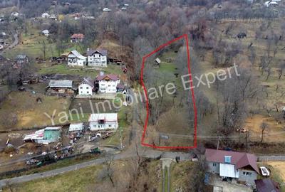 Teren de vanzare in comuna Arefu, jude? Arge?. - 10