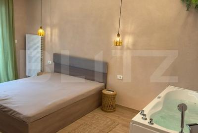 Raritate pe piata: 2 apartamente de lux gata de Airbnb cu terase si jacuzzi - 11