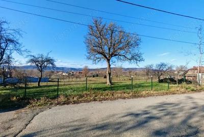 Teren de vanzare 2.550 mp, pozi?ie excelenta, Stalpeni (zona centrala), jud AG - 5