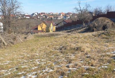 Spațiu comercial, în Feleacu - 3