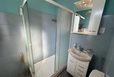 Dacia - Toamnei 2 camere in vila P/D+P+2 anvelopata - 10