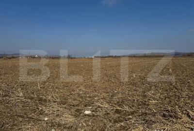 Teren de 2900 mp, în Central - 1