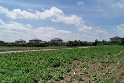 Balotesti 2 loturi de 1400mp, 2 loturi a cate 750mp - 3