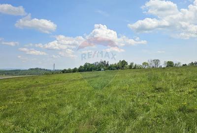 Teren Ilisesti  7000mp extravilan/ DN 17, Suceava - 25