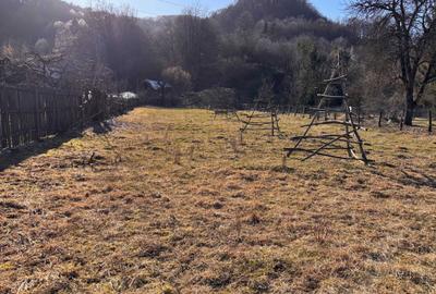 Spațiu comercial, în Bradu - 4