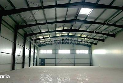 Spațiu comercial, de 1,000 mp, în Sânandrei - 5