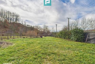 Casă cu 3 camere cu Teren 1260 Mp în Hășmaș - 12