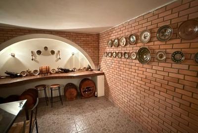 REV2005404 Vila 6 Camere I De Vanzare I Iancu Nicolae - 16