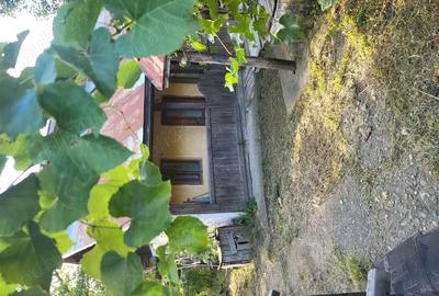 Casa de vanzare la tara - 1