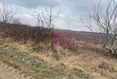 Teren Splaiul Unirii- Confort City. Teren Splaiul Unirii- Confort City. - 3