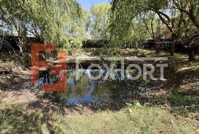 Casa individuala cu 4 camere de 141 mp si teren de 1500 mp, zona Sanandrei - 3