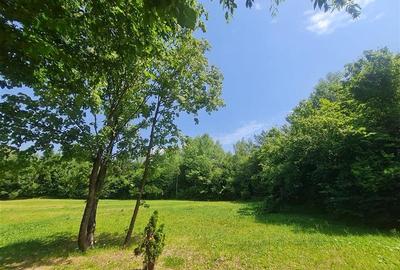Refugiu idilic cu oglinda de apa,panorama montana,Glajerie/Rasnov,ideal mini res - 2