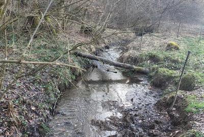 Casă cu Teren 20000 Mp în Vârfurile - 6