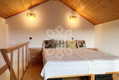 Casa cu teren 2052 mp in Saldabagiu de Munte - 1