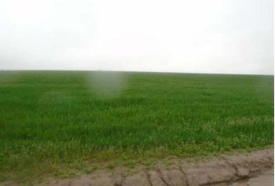 Cota de 1/24 din teren situat in Valea Mare, Jud Olt - 3