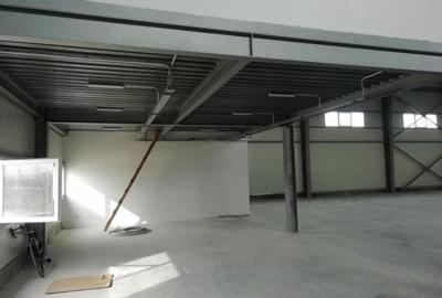 Hala depozitare sau productie   Drumul intre Tarlale,  600MP - 14