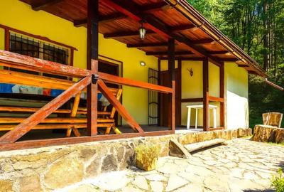 Casă cu 4 camere cu Teren 2100 Mp în Central - 2