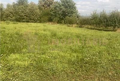 Teren intravilan 80 ari cu posibilitate de parcelare, Ardusat - 4