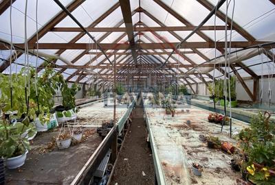 Casa de vanzare,  1354 mp teren,  Tarlungeni - 14