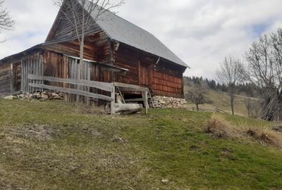 Casă cu 2 camere în Horea - 9