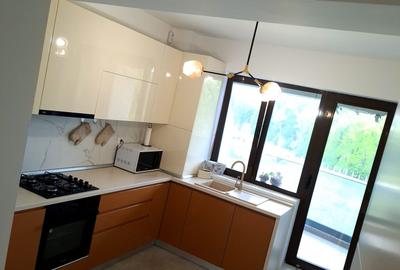 Apartament cu 3 camere decomandat, mobilat în Calea București - 17