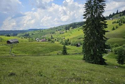 Teren de vanzare in Bucovina Comuna Breaza Zona Paraul Negrei - 9