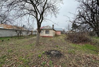 Casa si teren de vanzare in Tifesti - Sat Olesesti 30.000 Euro - 19