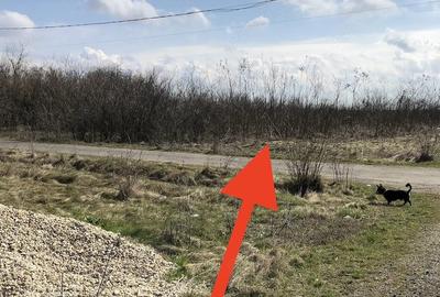 Teren de 1000 mp, în Valter Mărăcineanu - 5