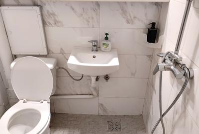 Salaj, Rahova, str. Pricopan, 10 minute de Piata Unirii cu STB 117, ocazie - 5