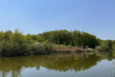 Teren agricol intravilan de 15840 mp, în Snagov - 3