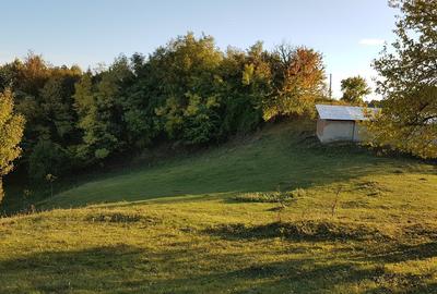 Teren livadă cu panoramă superbă Dealul Malului pentru casă sau cabană - 3