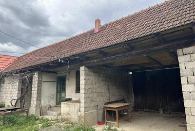 Casa Zorlen?ul Mare Casa Zorlen?ul Mare - 6