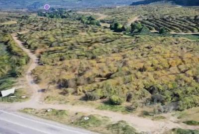 Teren de 380 mp, în Feleacu