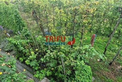 Teren de vânzare în zona centrală a orașului - 9