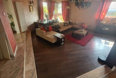 CASA INDIVIDUALA-PANTELIMON-8 CAMERE-CURTE-5 BAI-2 LOCURI PARCARE - 26