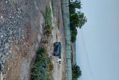Casă cu 2 camere în Balabancea - 1