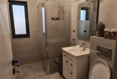 Apartament cu 2 camere decomandat, mobilat în Giroc - 4