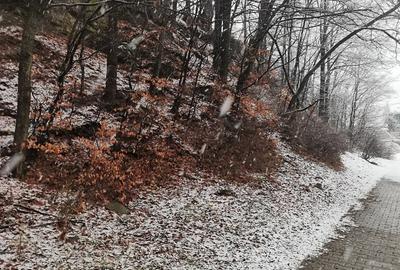 Teren de 4220 mp, în Bușteni - 4