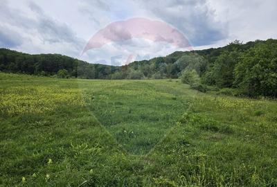 Teren 11,935mp Margineni / Strada Dubas - 6