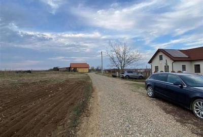 Teren Construcții intravilan de 8000 mp, în Biharia - 8