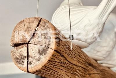 Camin Confortabil  Vedere la Parc |  Central 3 Camere cu Terasa | Strada Paris - 7