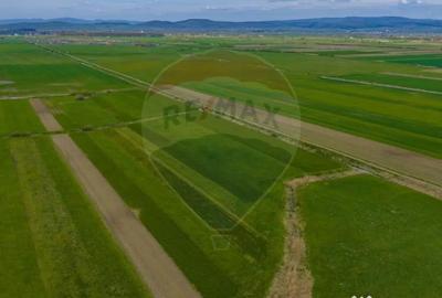 Teren în Stupinii Prejmerului