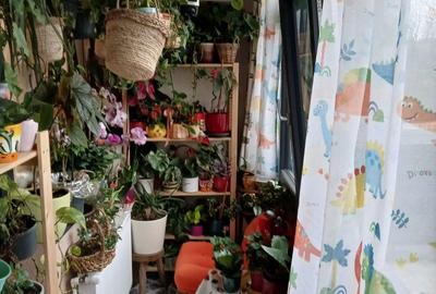 Apartament cu 2 camere decomandat în Runcu - 6