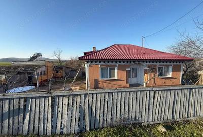 Casă cu 4 camere cu Teren 4382 Mp în Somova - 15