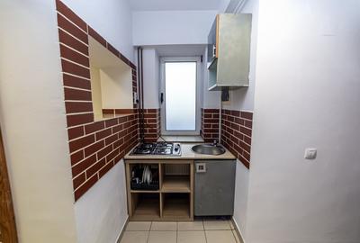 Apartament cu 2 camere decomandat, mobilat în Parcul Carol - 11