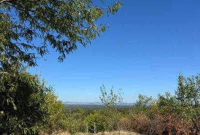 Spațiu comercial, în Valea Călugărească - 2